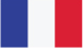 MPF - FRANCE FLAG